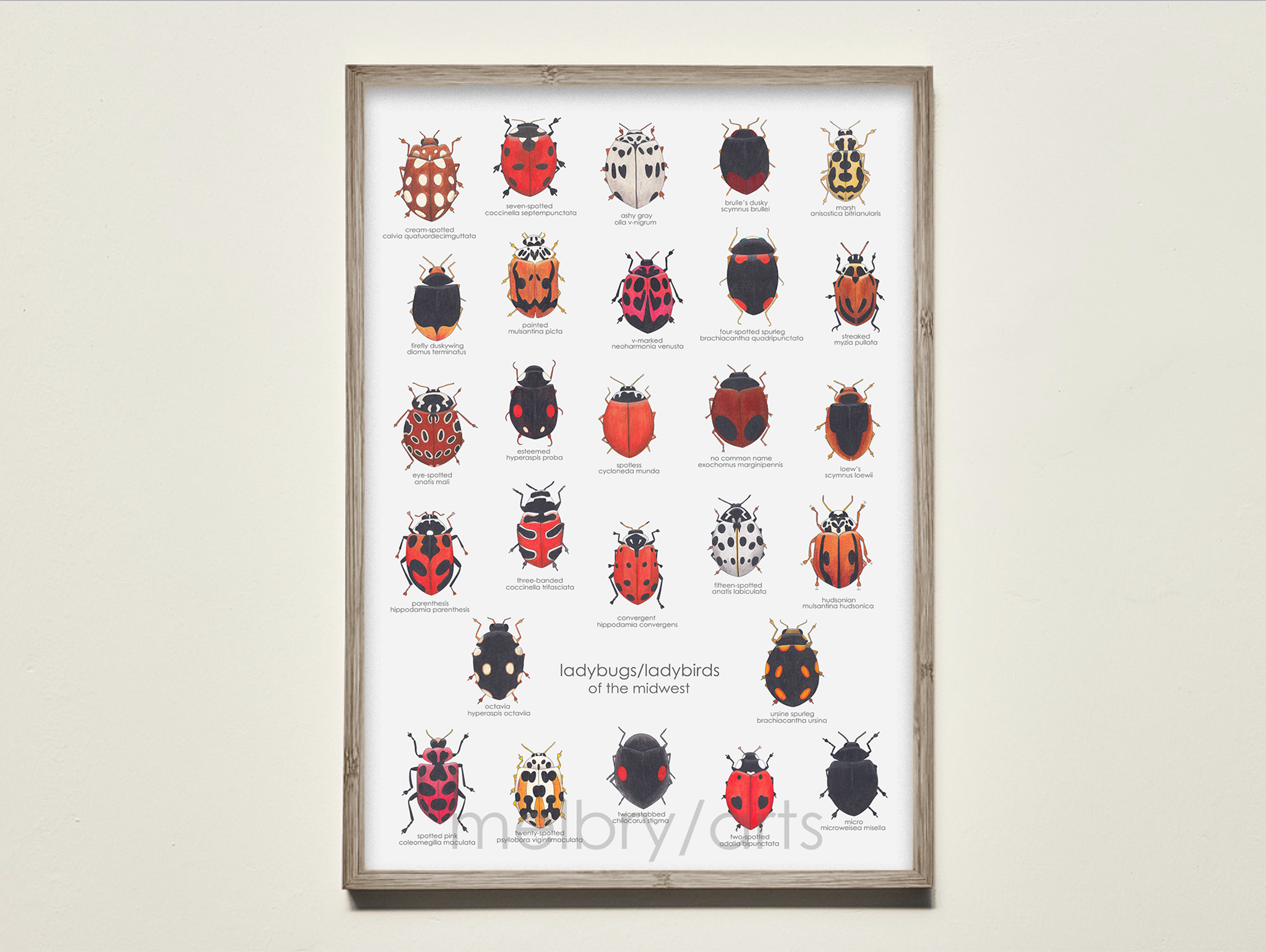 dark+wood+frame+-+template+